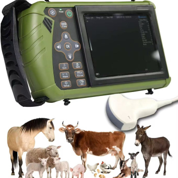 Veterinarian Ultrasound Scanner