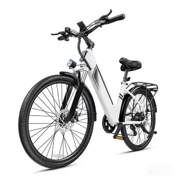 Electric Bicycles for adults