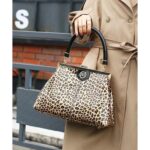 Leopard skin bag